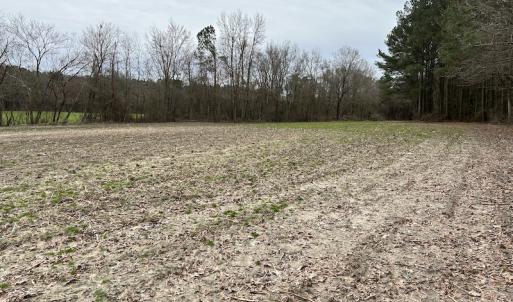 Photo #16 of SOLD property in Off St. Johns Church Road, Goldsboro, NC 111.2 acres