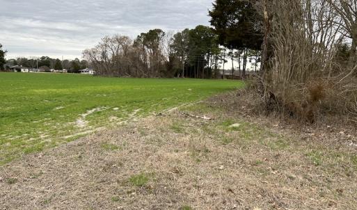 Photo #20 of Off St. Johns Church Road, Goldsboro, NC 111.2 acres