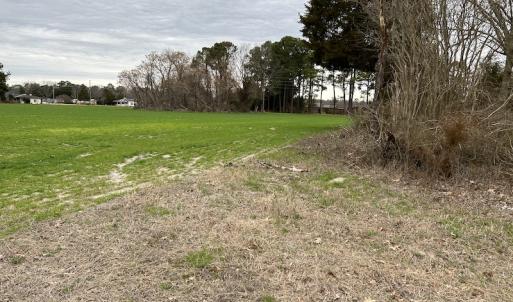 Photo #20 of SOLD property in Off St. Johns Church Road, Goldsboro, NC 111.2 acres