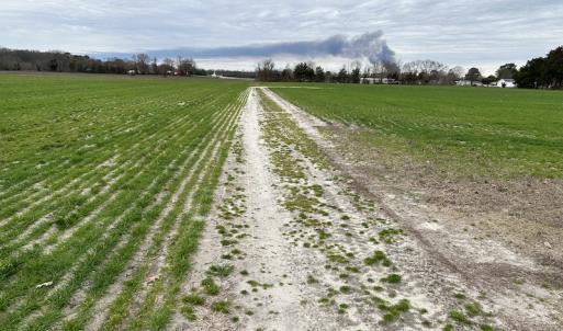 Photo #21 of Off St. Johns Church Road, Goldsboro, NC 111.2 acres