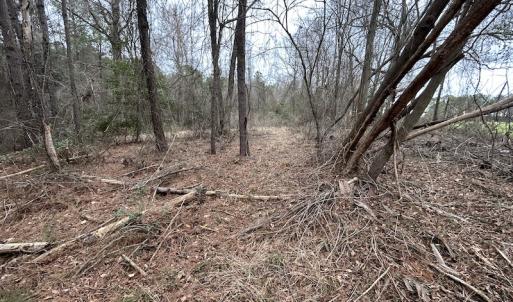 Photo #22 of Off St. Johns Church Road, Goldsboro, NC 111.2 acres