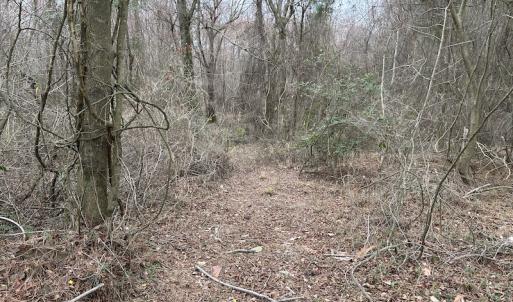 Photo #23 of Off St. Johns Church Road, Goldsboro, NC 111.2 acres