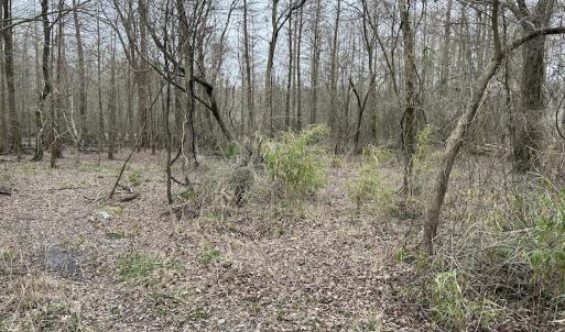 Photo #24 of Off St. Johns Church Road, Goldsboro, NC 111.2 acres