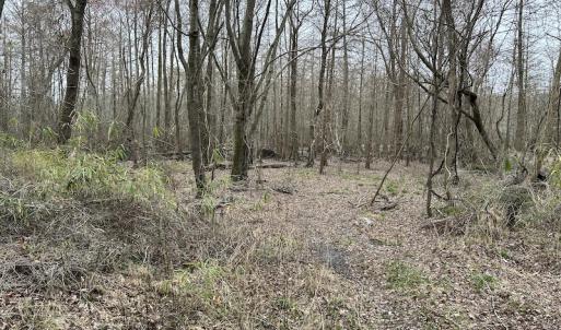 Photo #25 of Off St. Johns Church Road, Goldsboro, NC 111.2 acres