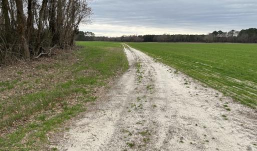 Photo #44 of Off St. Johns Church Road, Goldsboro, NC 111.2 acres