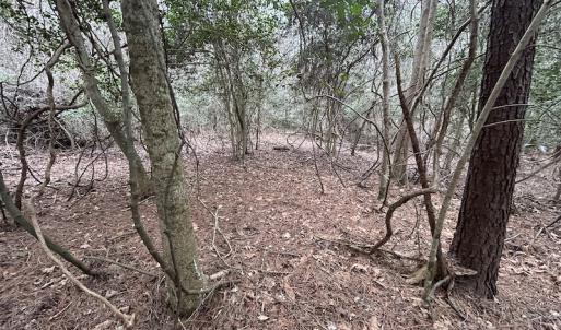 Photo #29 of Off St. Johns Church Road, Goldsboro, NC 111.2 acres
