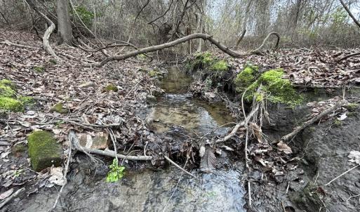 Photo #30 of Off St. Johns Church Road, Goldsboro, NC 111.2 acres