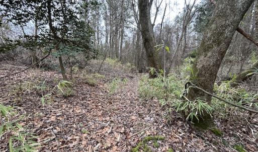 Photo #31 of Off St. Johns Church Road, Goldsboro, NC 111.2 acres