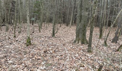 Photo #32 of Off St. Johns Church Road, Goldsboro, NC 111.2 acres