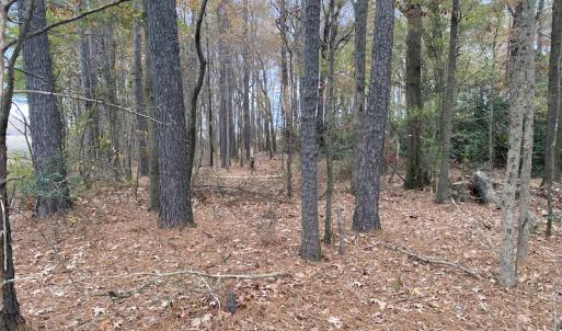 Photo #35 of Off St. Johns Church Road, Goldsboro, NC 111.2 acres