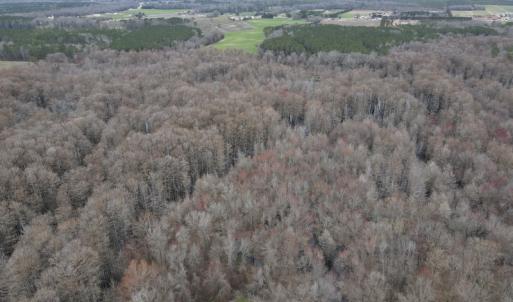 Photo #37 of Off St. Johns Church Road, Goldsboro, NC 111.2 acres