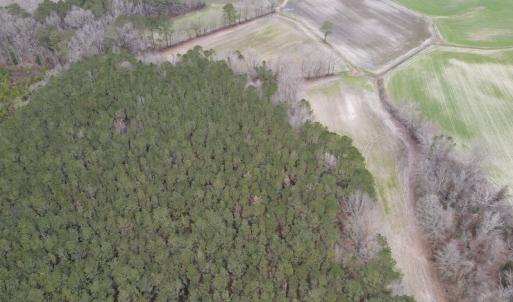 Photo #3 of SOLD property in Off St. Johns Church Road, Goldsboro, NC 111.2 acres