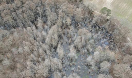 Photo #38 of Off St. Johns Church Road, Goldsboro, NC 111.2 acres