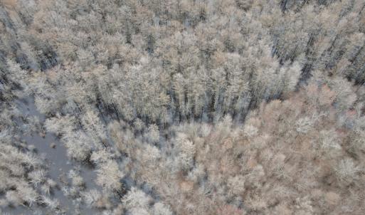 Photo #40 of Off St. Johns Church Road, Goldsboro, NC 111.2 acres