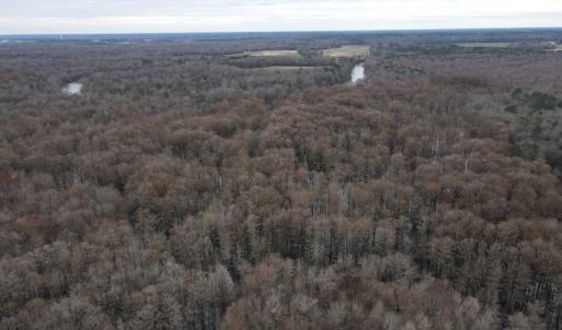 Photo #41 of Off St. Johns Church Road, Goldsboro, NC 111.2 acres