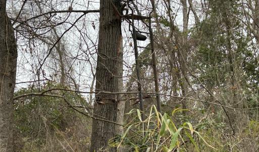 Photo #43 of Off St. Johns Church Road, Goldsboro, NC 111.2 acres