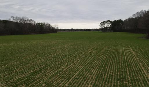 Photo #4 of SOLD property in Off St. Johns Church Road, Goldsboro, NC 111.2 acres