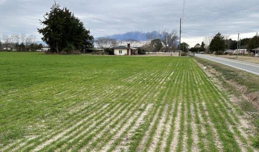 Photo #5 of Off St. Johns Church Road, Goldsboro, NC 111.2 acres