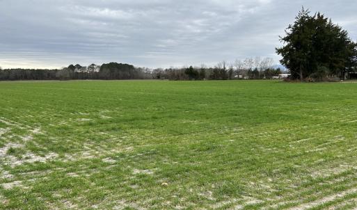 Photo #6 of SOLD property in Off St. Johns Church Road, Goldsboro, NC 111.2 acres