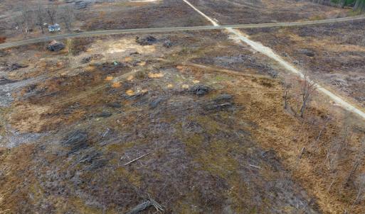 Photo #10 of Off Hughes Mill Road, Lot 3, Burlington, NC 6.0 acres