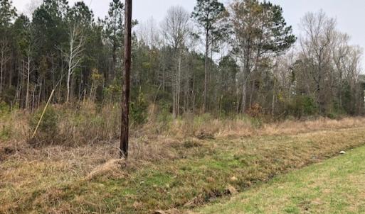 Photo #22 of SOLD property in Off Kelly Rd.  , Bath, NC 15.0 acres