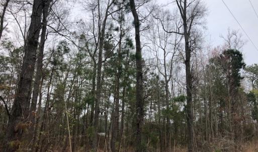 Photo #19 of SOLD property in Off Kelly Rd.  , Bath, NC 15.0 acres