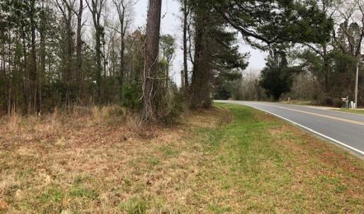 Photo #20 of SOLD property in Off Kelly Rd.  , Bath, NC 15.0 acres
