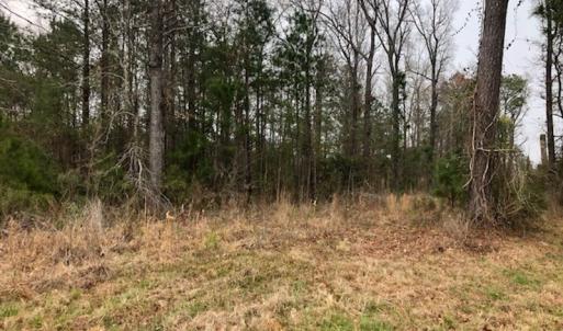 Photo #21 of SOLD property in Off Kelly Rd.  , Bath, NC 15.0 acres