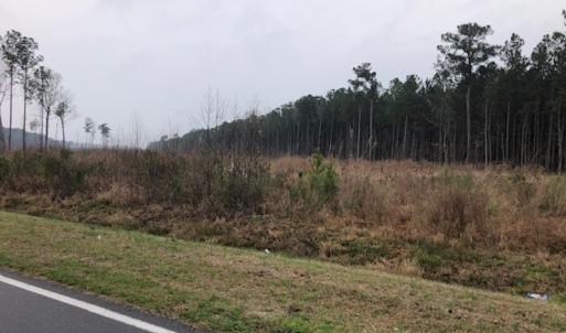 Photo #3 of SOLD property in Off Kelly Rd.  , Bath, NC 15.5 acres