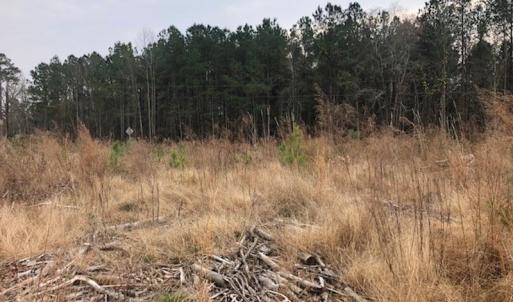 Photo #6 of SOLD property in Off Kelly Rd.  , Bath, NC 15.5 acres