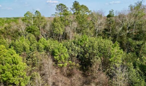 Photo #11 of Off Mcoy Loop Road , Ivanhoe, NC 9.7 acres