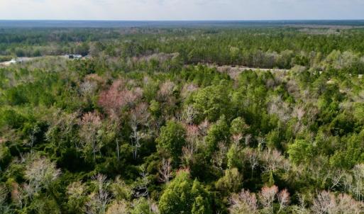 Photo #7 of Off Mcoy Loop Road , Ivanhoe, NC 9.7 acres