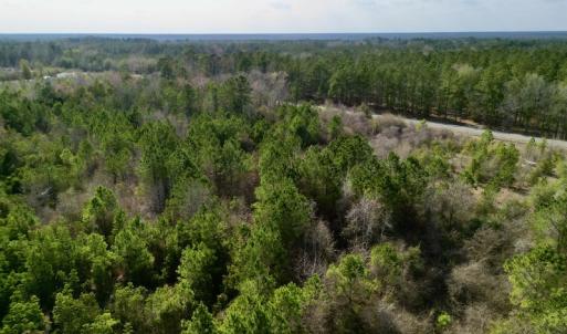 Photo #8 of Off Mcoy Loop Road , Ivanhoe, NC 9.7 acres