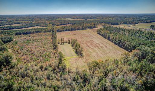 Photo #9 of SOLD property in Off Jimsie Hester Road , Whiteville , NC 26.4 acres