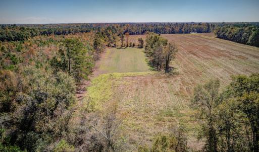 Photo #10 of SOLD property in Off Jimsie Hester Road , Whiteville , NC 26.4 acres