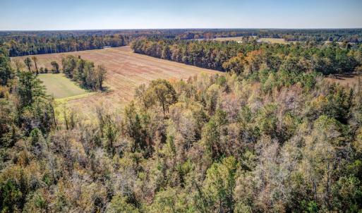 Photo #11 of SOLD property in Off Jimsie Hester Road , Whiteville , NC 26.4 acres