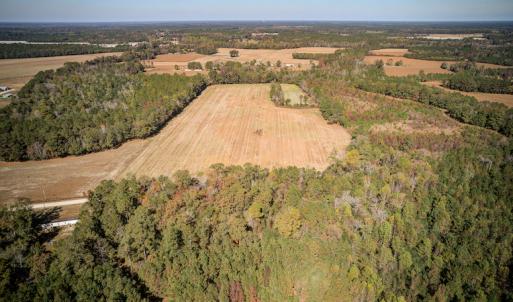 Photo #15 of SOLD property in Off Jimsie Hester Road , Whiteville , NC 26.4 acres