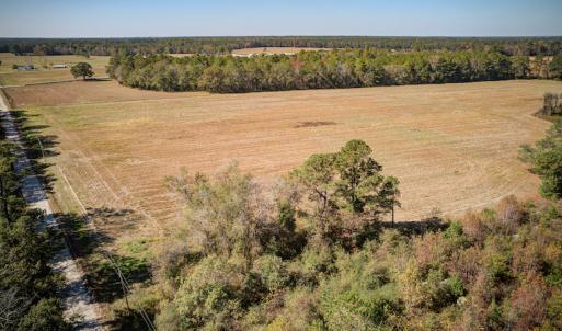 Photo #16 of Off Jimsie Hester Road , Whiteville , NC 26.4 acres