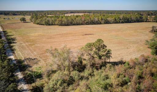 Photo #16 of SOLD property in Off Jimsie Hester Road , Whiteville , NC 26.4 acres