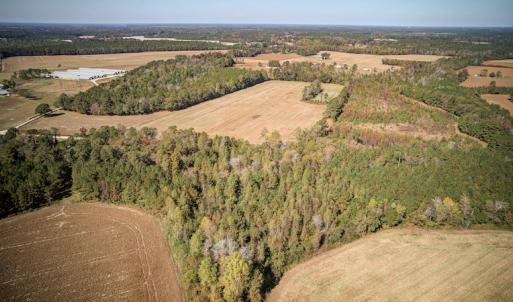 Photo #17 of SOLD property in Off Jimsie Hester Road , Whiteville , NC 26.4 acres