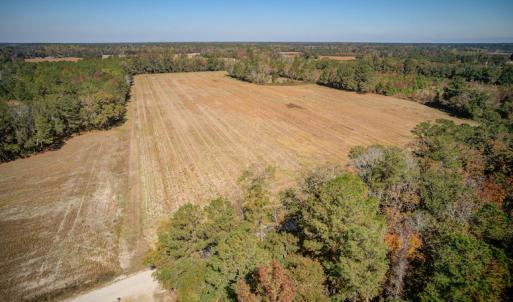 Photo #18 of SOLD property in Off Jimsie Hester Road , Whiteville , NC 26.4 acres