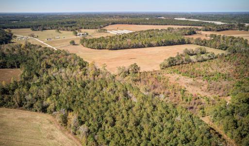 Photo #23 of SOLD property in Off Jimsie Hester Road , Whiteville , NC 26.4 acres