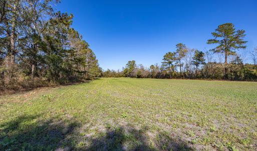 Photo #24 of SOLD property in Off Jimsie Hester Road , Whiteville , NC 26.4 acres