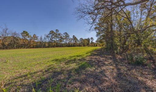 Photo #25 of SOLD property in Off Jimsie Hester Road , Whiteville , NC 26.4 acres