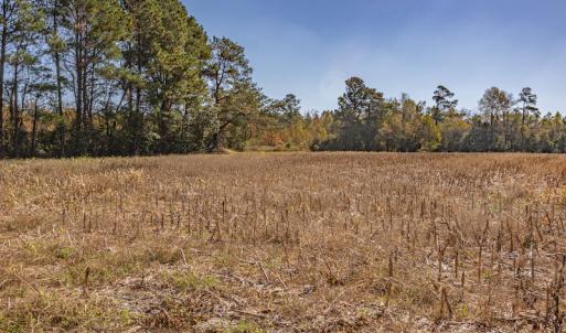 Photo #26 of Off Jimsie Hester Road , Whiteville , NC 26.4 acres