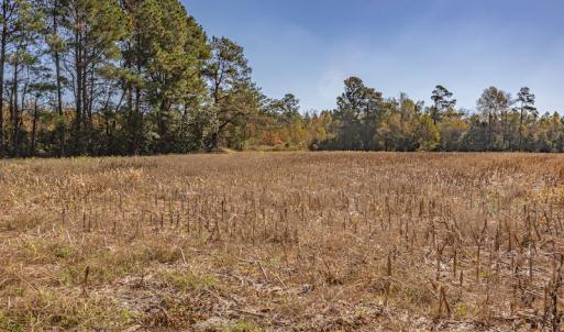 Photo #26 of SOLD property in Off Jimsie Hester Road , Whiteville , NC 26.4 acres