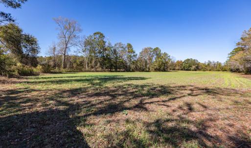 Photo #27 of Off Jimsie Hester Road , Whiteville , NC 26.4 acres