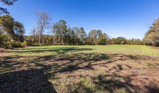 Photo #27 of SOLD property in Off Jimsie Hester Road , Whiteville , NC 26.4 acres