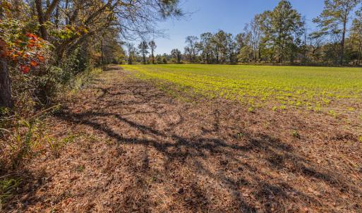 Photo #28 of SOLD property in Off Jimsie Hester Road , Whiteville , NC 26.4 acres