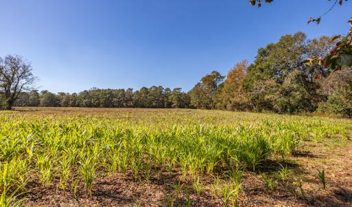 Photo #29 of SOLD property in Off Jimsie Hester Road , Whiteville , NC 26.4 acres